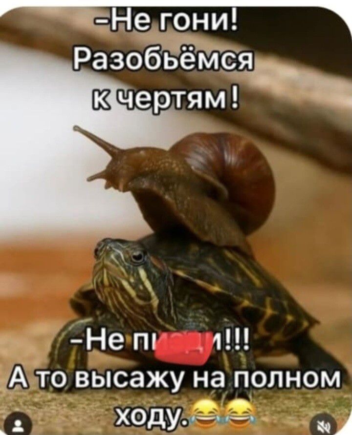- Не гони! Разобьёмся к чертям! - Не пи*ди! А то высажу на полном ходу.