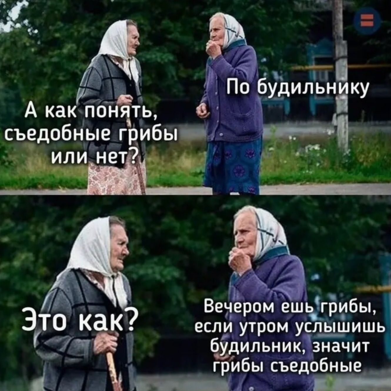 А как понять, съедобные грибы или нет?
По будильнику
Это как?
Вечером ешь грибы, если утром услышишь будильник, значит грибы съедобные