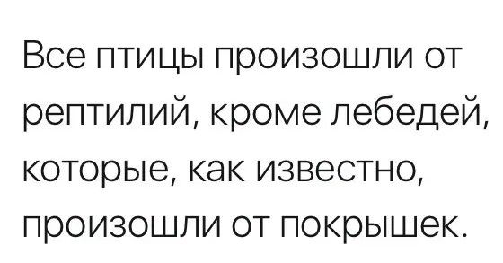 Все птицы произошли от рептилий, кроме лебедей, которые, как известно, произошли от покрышек.