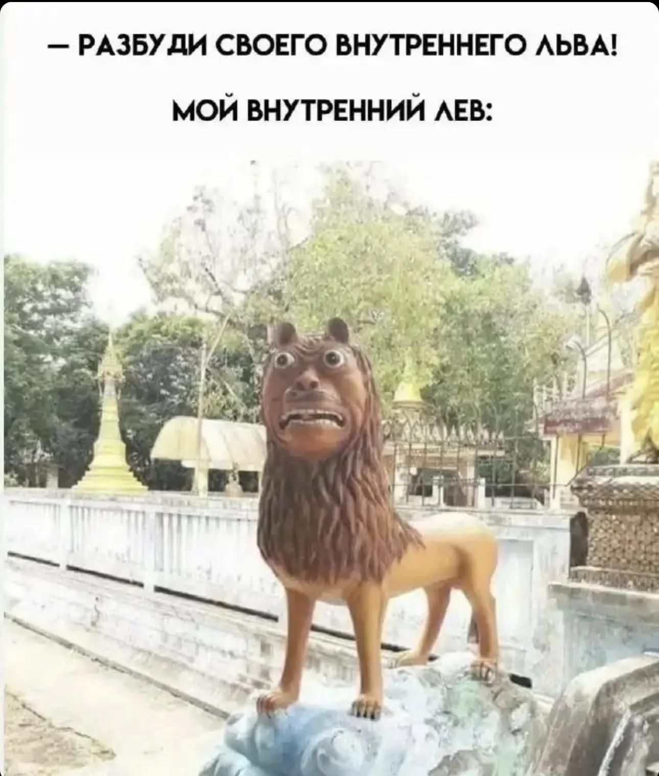 — Разбуди своего внутреннего льва! Мой внутренний лев: