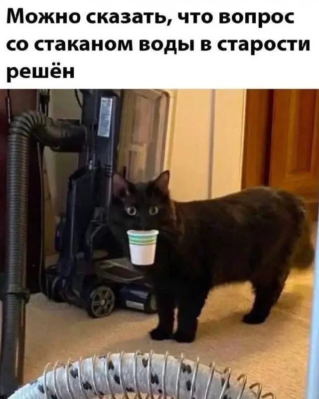Можно сказать, что вопрос со стаканом воды в старости решён