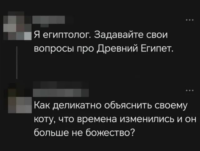 Я египтолог. Задавайте свои вопросы про Древний Египет. Как деликатно объяснить своему коту, что времена изменились и он больше не божество?