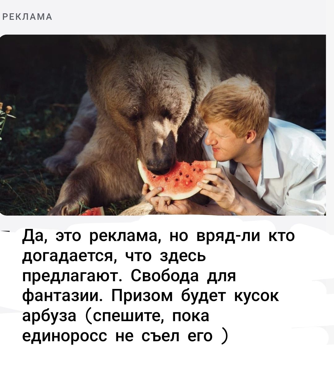РЕКЛАМА. Да, это реклама, но вряд-ли кто догадается, что здесь предлагают. Свобода для фантазии. Призом будет кусок арбуза (спешите, пока единоросс не съел его )
