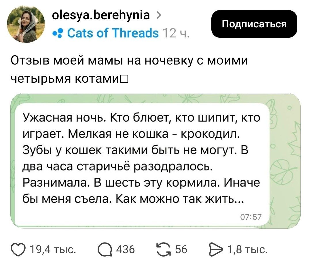 olesya.berehynia Cats of Threads 12 ч. Отзыв моей мамы на ночевку с моими четырьмя котами Ужасная ночь. Кто блюет, кто шипит, кто играет. Мелкая не кошка - крокодил. Зубы у кошек такими быть не могут. В два часа сталичьё разодралось. Разнимала. В шестом эту кормила. Иначе бы меня съела. Как можно так жить...