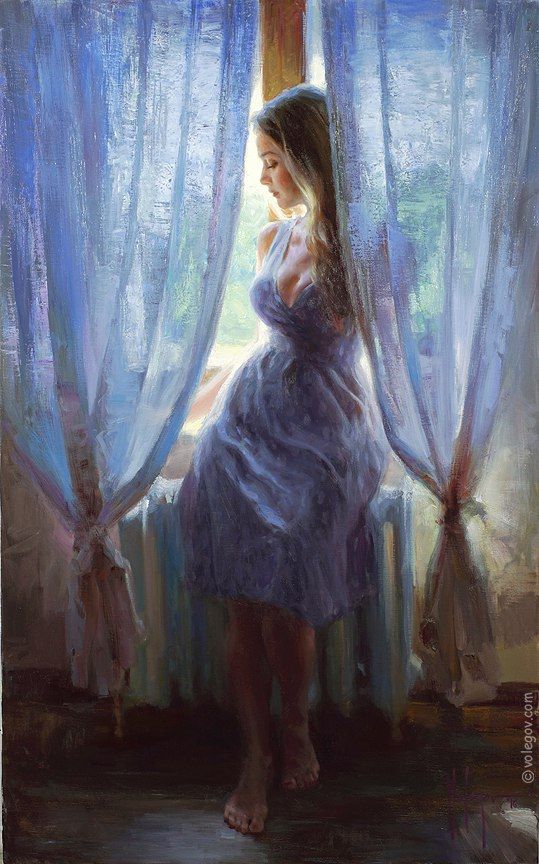 volegov.com