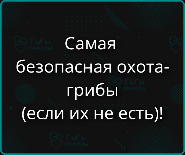 Самая безопасная охота- грибы (если их не есть)!