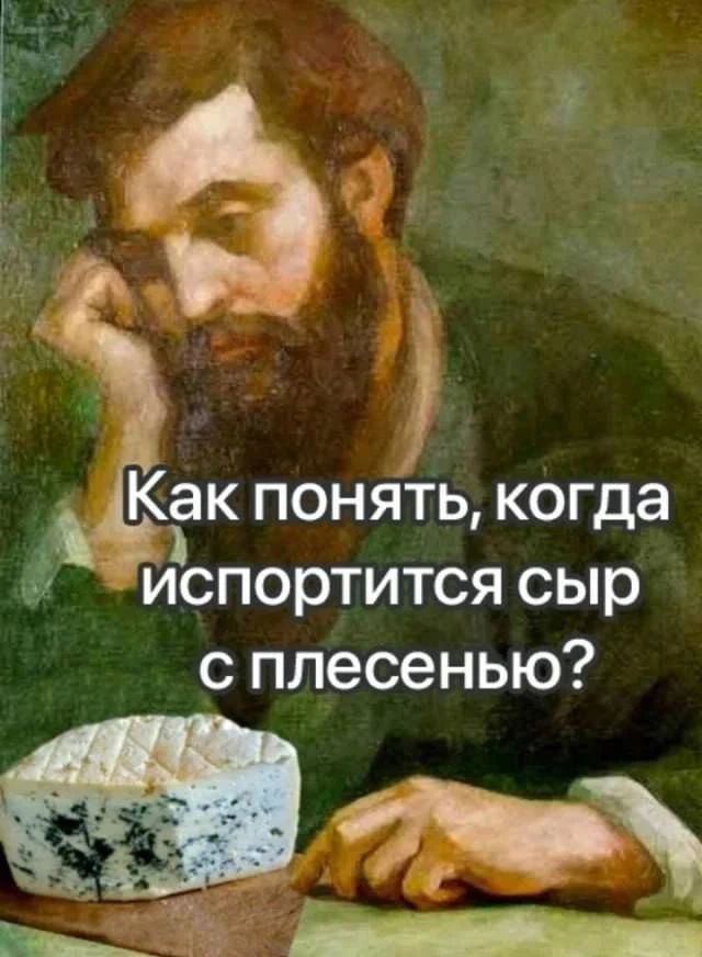Как понять, когда испортится сыр с плесенью?