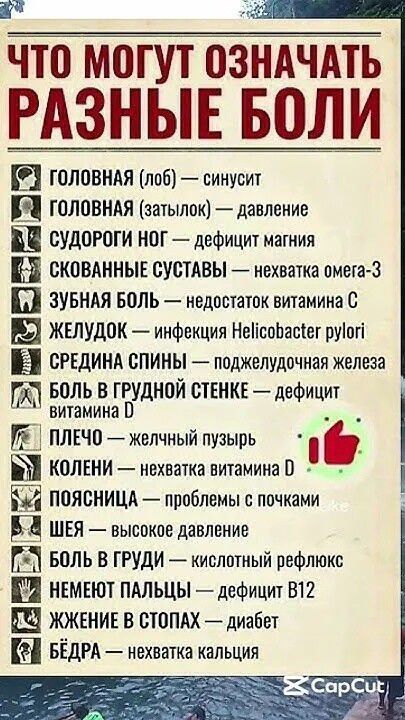 ЧТО МОГУТ ОЗНАЧАТЬ РАЗНЫЕ БОЛИ Головная (лоб) — синусит Головная (затылок) — давление Судороги ног — дефицит магния Скованные суставы — нехватка омега-3 Зубная боль — недостаток витамина С Желудок — инфекция Helicobacter pylori Середина спины — поджелудочная железа Боль в грудной стенке — дефицит витамина D Плечо — желчный пузырь Колени — нехватка