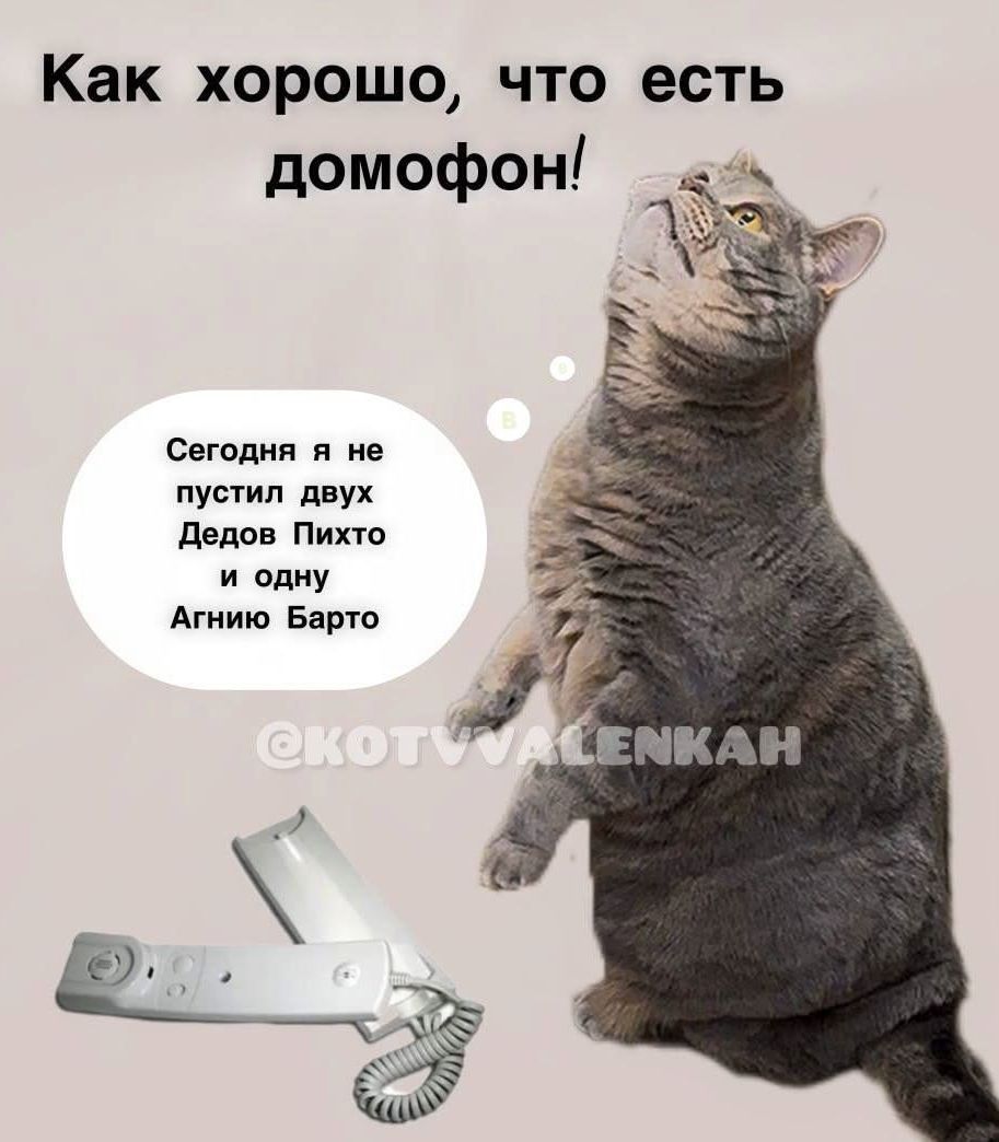 Как хорошо, что есть домофон! Сегодня я не пустил двух Дедов Пихто и одну Агнию Барто