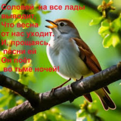 Соловей на все лады выводит, Что весна от нас уходит. И, прощаясь, песни ей Он поёт во тьме ночей!