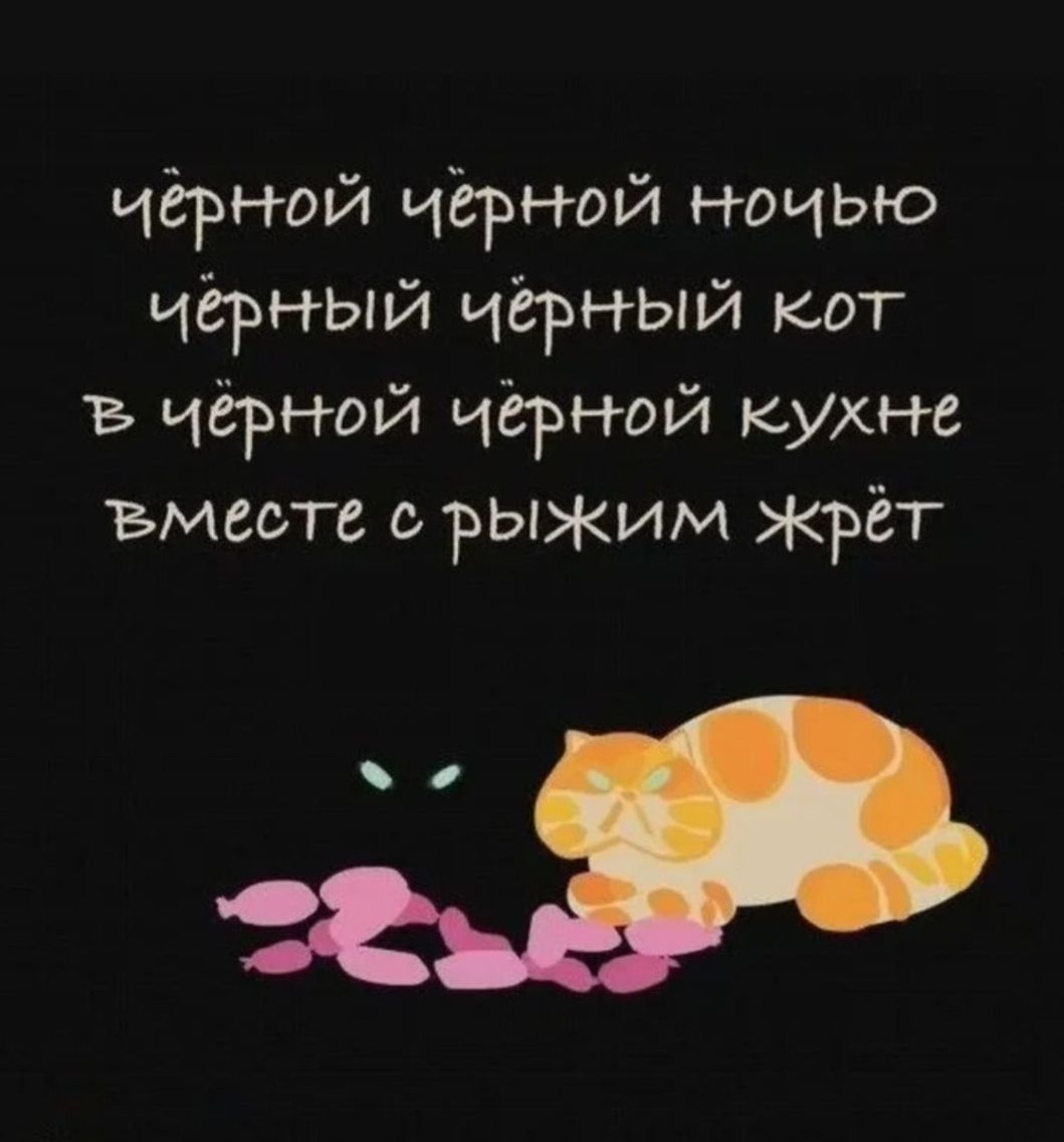 чёрной чёрной ночью чёрный чёрный кот в чёрной чёрной кухне вместе с рыжим жрёт