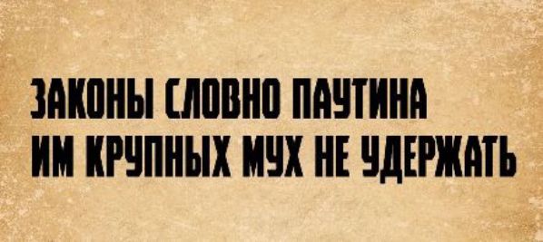 ЗАКОНЫ СЛОВНО ПАУТИНА ИМ КРУПНЫХ МУХ НЕ УДЕРЖАТЬ