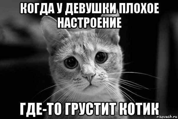 КОГДА У ДЕВУШКИ ПЛОХОЕ НАСТРОЕНИЕ ГДЕ-ТО ГРУСТИТ КОТИК