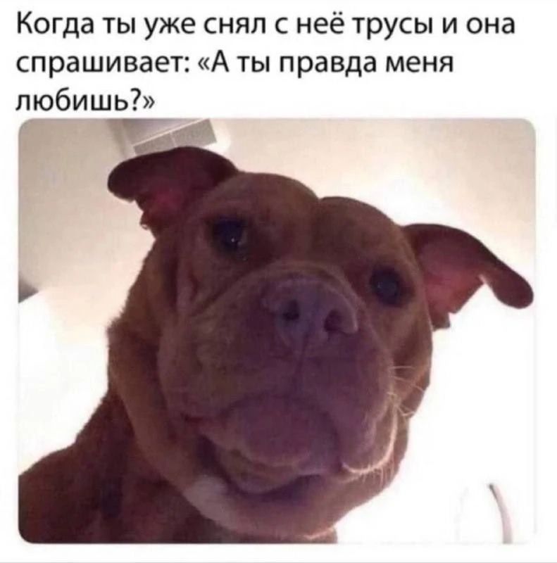 Когда ты уже снял с неё трусы и она спрашивает: «А ты правда меня любишь?»