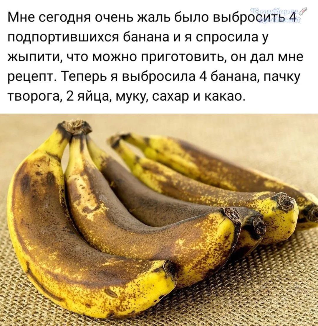 Мне сегодня очень жаль было выбросить 4 подпортившихся банана и я спросила у жыпити, что можно приготовить, он дал мне рецепт. Теперь я выбросила 4 банана, пачку творога, 2 яйца, муку, сахар и какао.