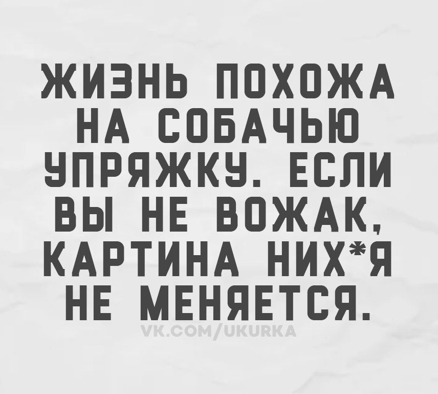 ЖИЗНЬ ПОХОЖА НА СОБАЧЬЮ УПРЯЖКУ. ЕСЛИ ВЫ НЕ ВОЖАК, КАРТИНА НИХ*Я НЕ МЕНЯЕТСЯ. VK.COM/UKURKA