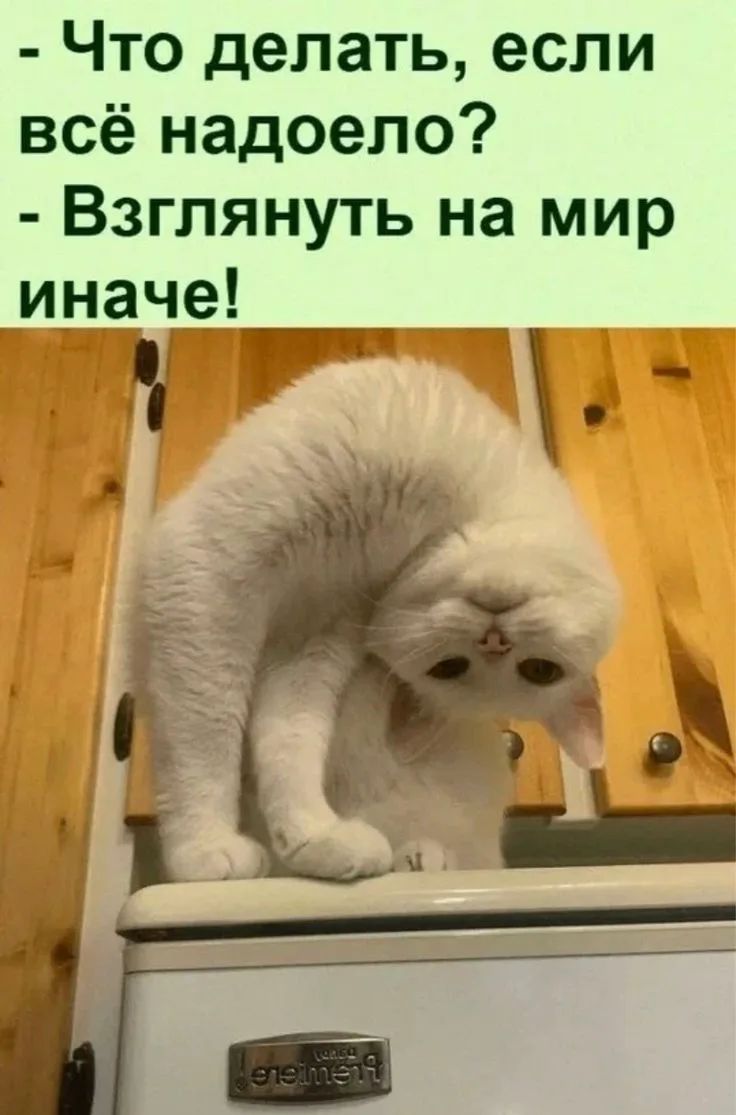 - Что делать, если всё надоело? - Взглянуть на мир иначе!