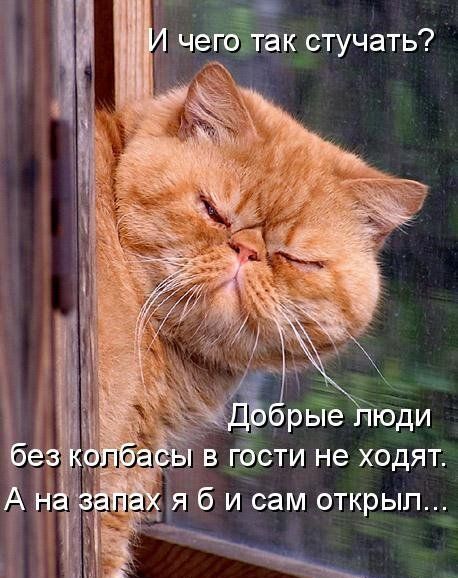 И чего так стучать? Добрые люди без колбасы в гости не ходят. А на запах я б и сам открыл...