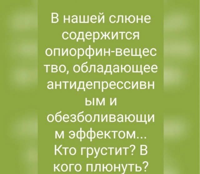 В нашей слюне содержится опиорфин-вещество, обладающее антидепрессивным и обезболивающим эффектом... Кто грустит? В кого плюнуть?