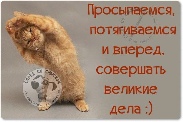 Просыпаемся, потягиваемся и вперед, совершать великие дела :) СЛОВА СО СМЫСЛОМ vk.com/slovo_so_smyslom