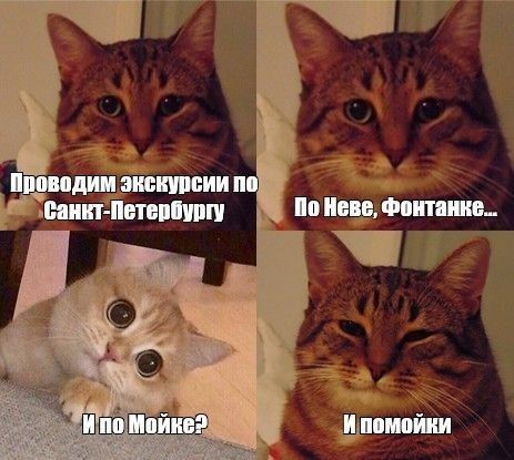 Проводим экскурсии по Санкт-Петербургу По Неве, Фонтанке... И по Мойке? И помойки