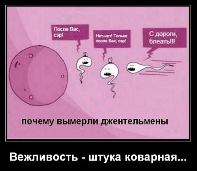 После Вас, сэр! Нет-нет! Только после Вас, сэр! С дороги, блеать!!! почему вымерли джентельмены Вежливость - штука коварная...