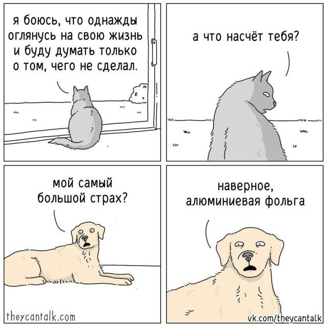 Я боюсь, что однажды оглянусь на свою жизнь и буду думать только о том, чего не сделал. А что насчёт тебя? Мой самый большой страх? Наверное, алюминиевая фольга.