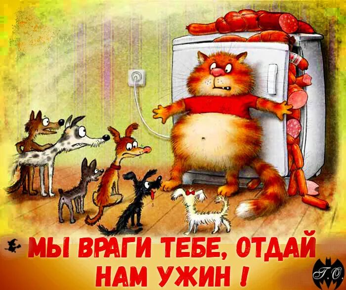 МЫ ВРАГИ ТЕБЕ, ОТДАЙ НАМ УЖИН !