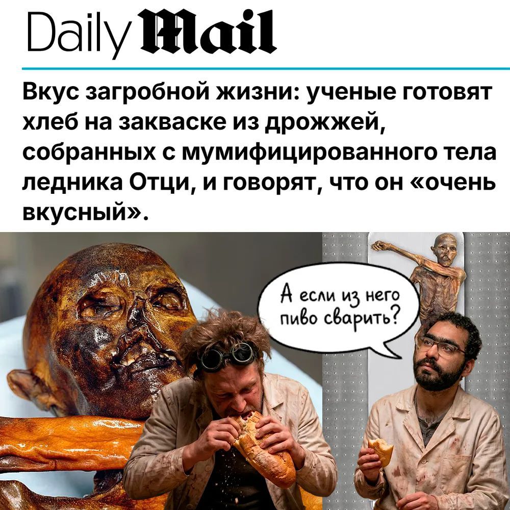 Daily Mail Вкус загробной жизни: ученые готовят хлеб на закваске из дрожжей, собранных с мумифицированного тела ледника Отци, и говорят, что он «очень вкусный». А если из него пиво сварить?