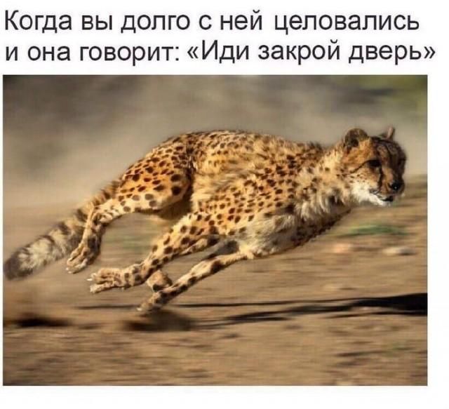 Когда вы долго с ней целовались и она говорит: «Иди закрой дверь»