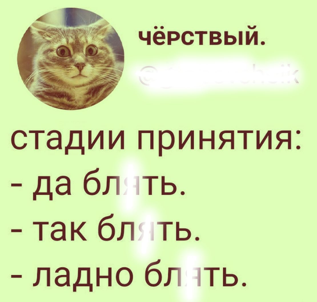 чёрствый. стадии принятия: - да блять. - так блять. - ладно блять.