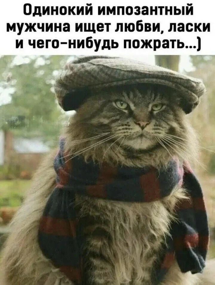 Одинокий импозантный мужчина ищет любви, ласки и чего-нибудь пожрать...