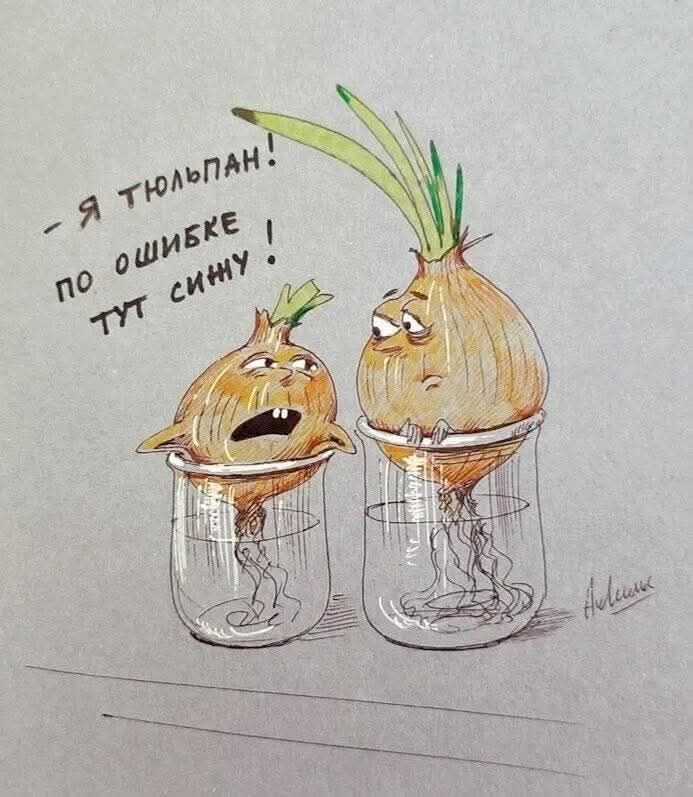 Я тюльпан! По ошибке тут сижу!