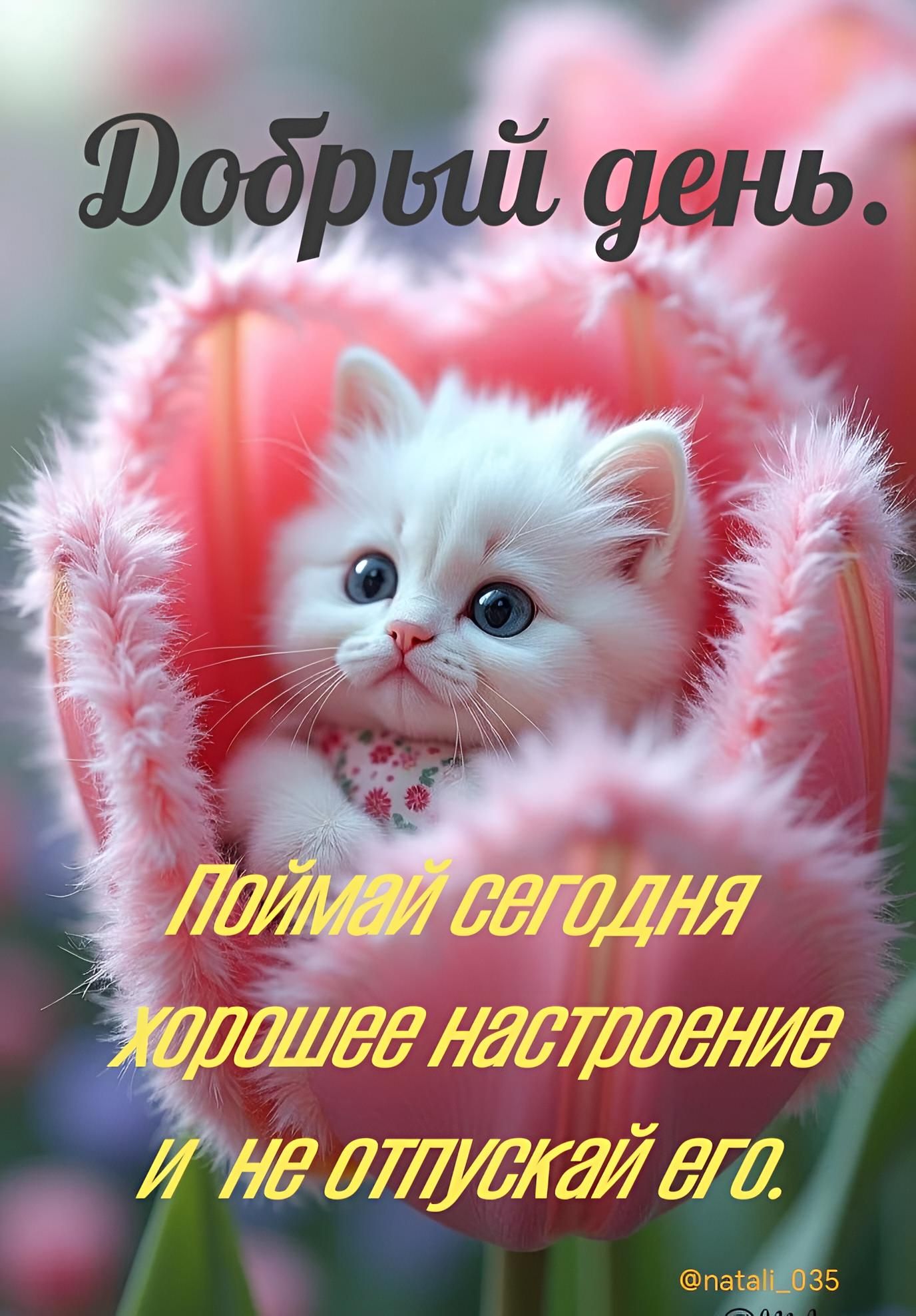 Добрый день. Поймай сегодня хорошее настроение и не отпускай его. @natali_035