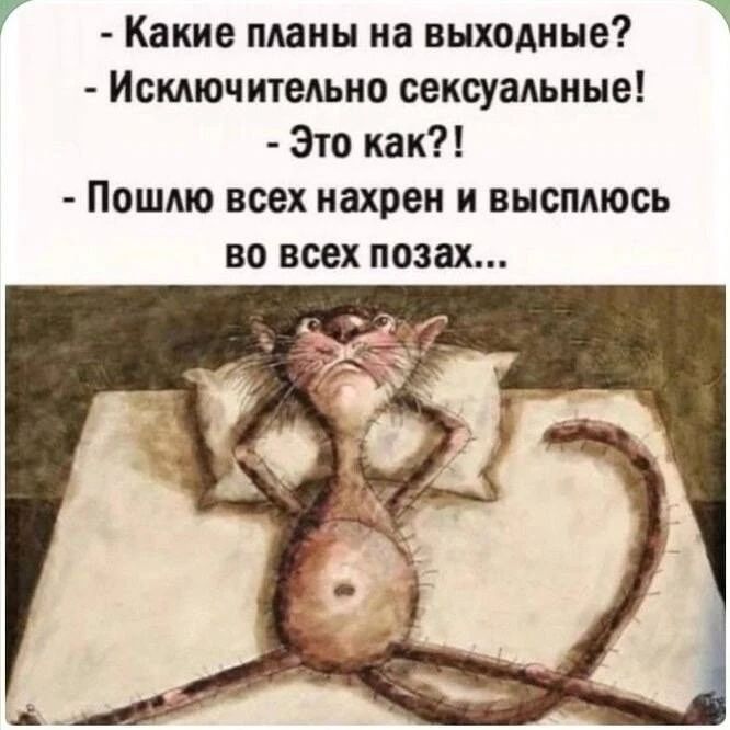 Какие планы на выходные? Исключительно сексуальные! Это как?! Пошлю всех нахрен и высплюсь во всех позах...