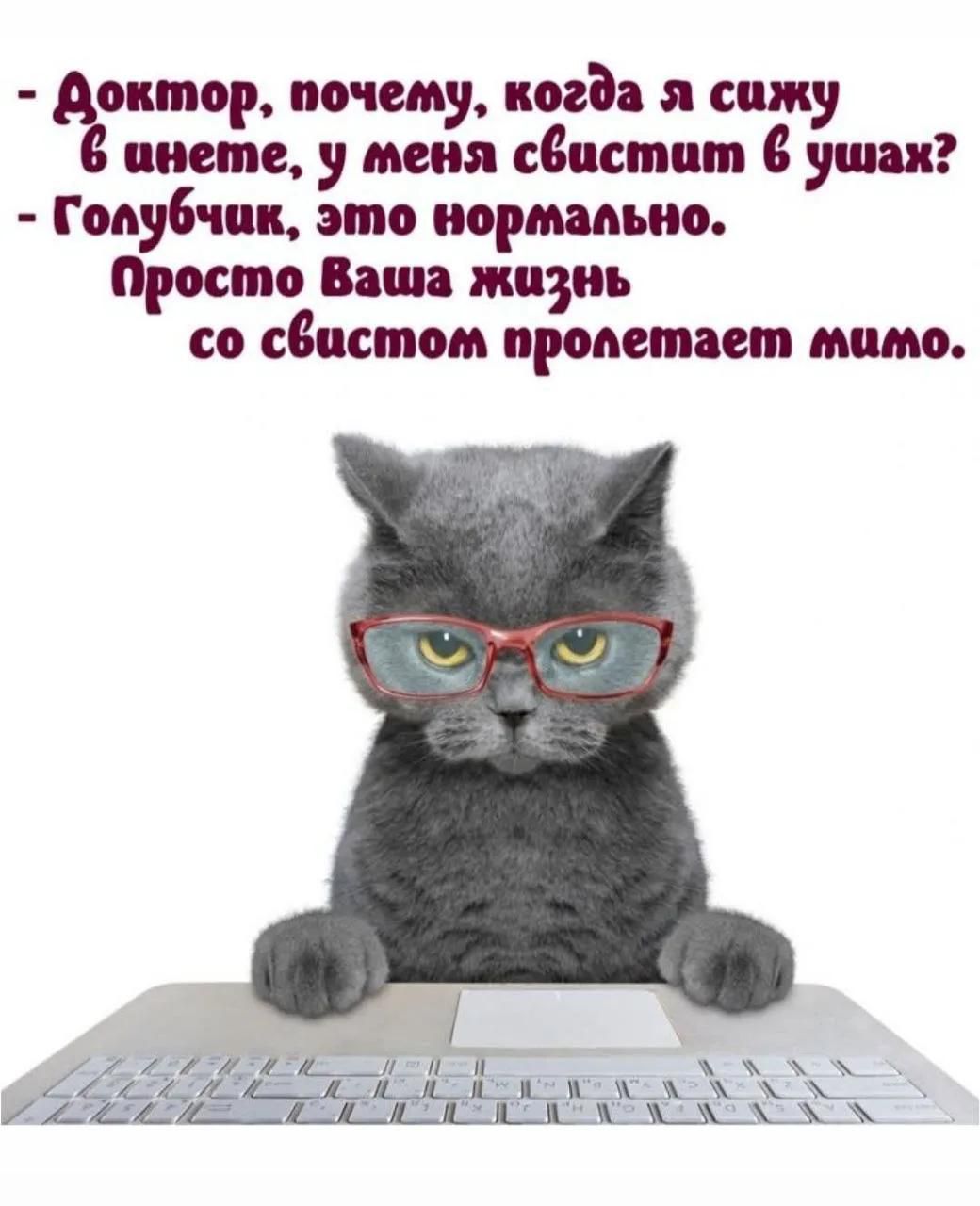 Доктор, почему, когда я сижу в инете, у меня свистит в ушах? Голубчик, это нормально. Просто Ваша жизнь со свистом пролетает мимо.