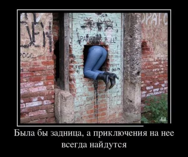 Была бы задница, а приключения на нее всегда найдутся