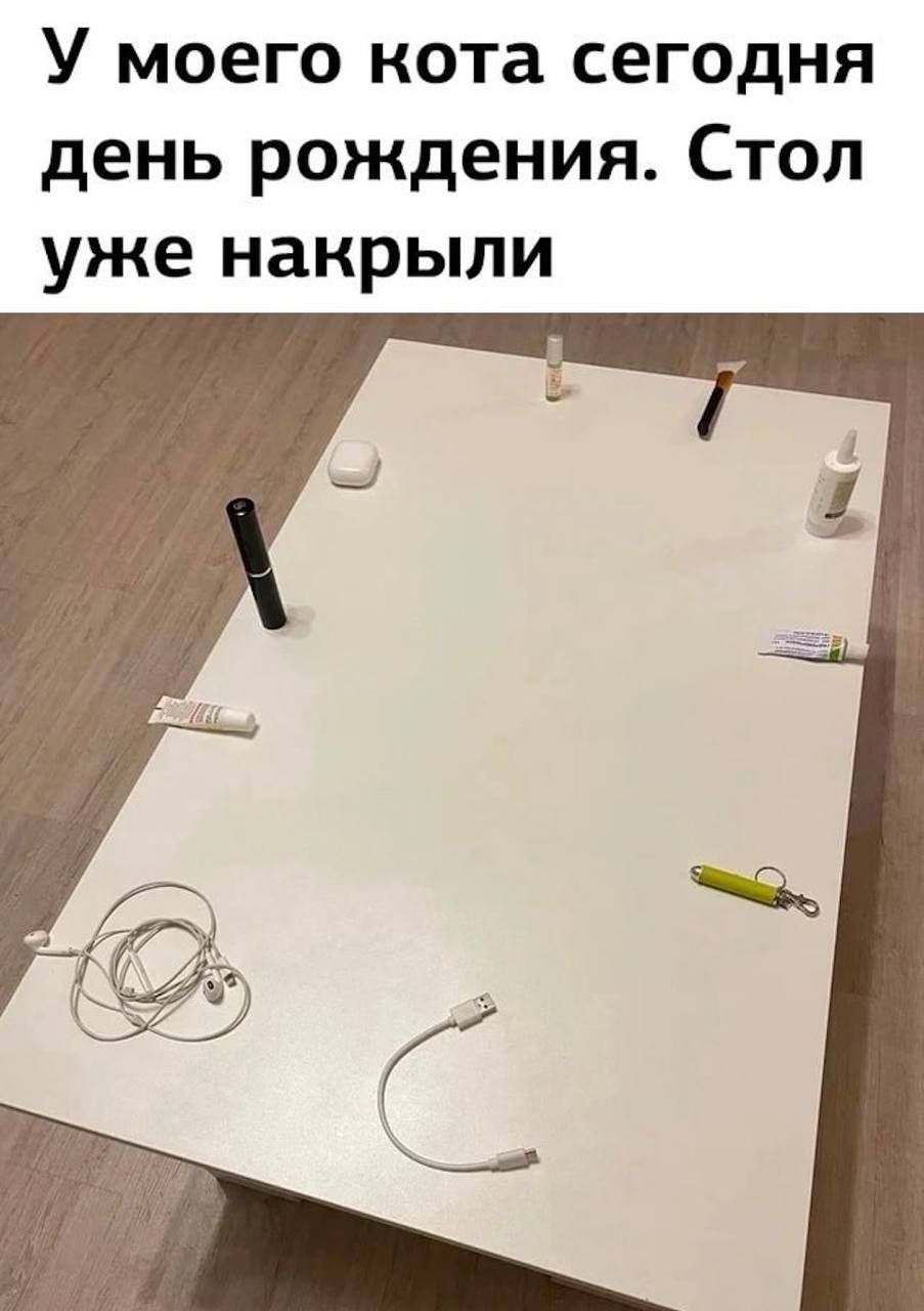 У моего кота сегодня день рождения. Стол уже накрыли