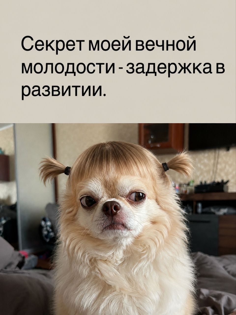 Секрет моей вечной молодости - задержка в развитии.