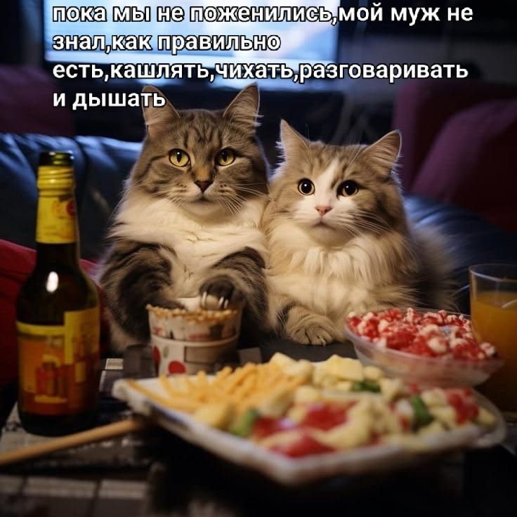 пока мы не поженились, мой муж не знал, как правильно есть, кашлять, чихать, разговаривать и дышать