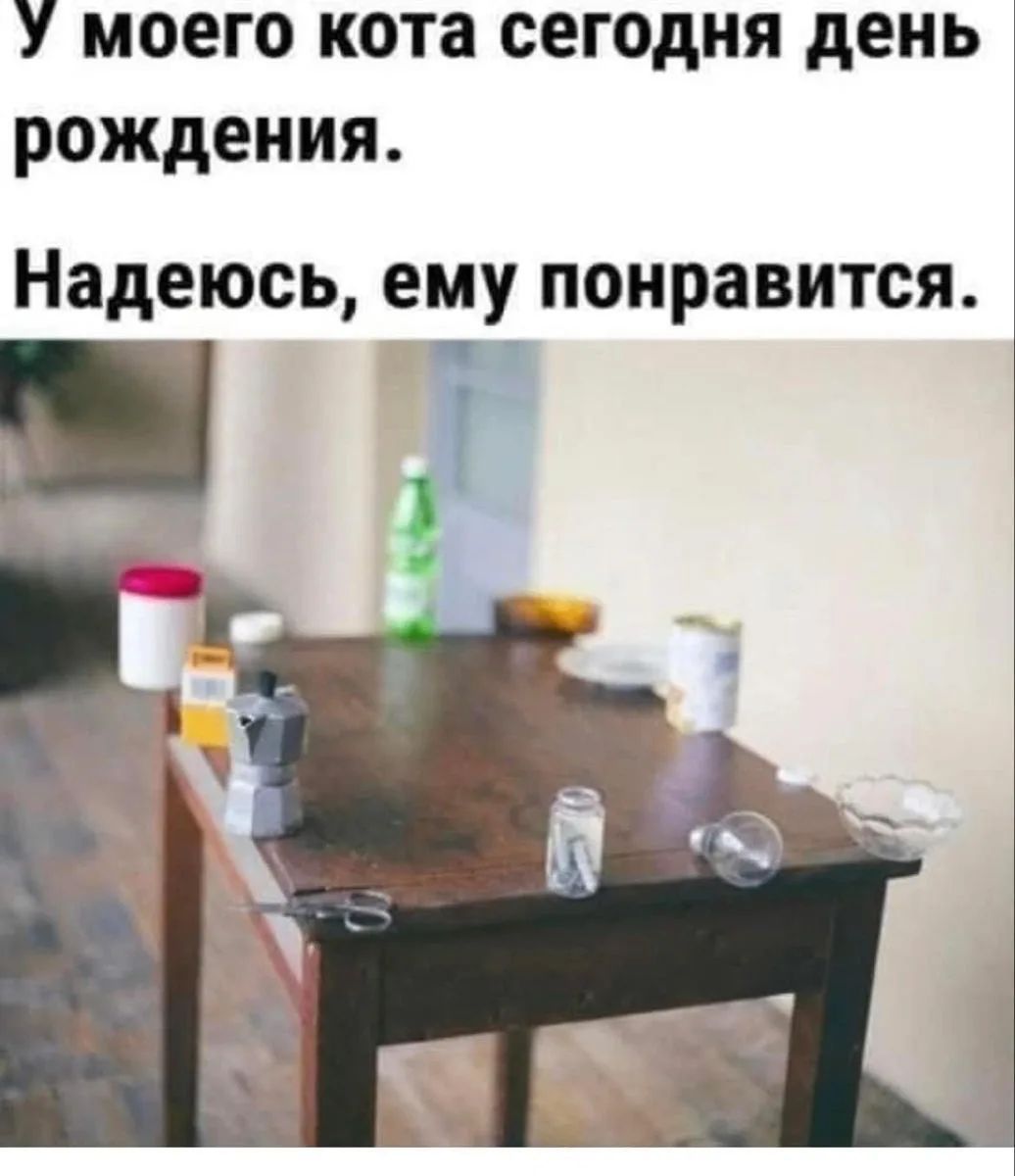 У моего кота сегодня день рождения. Надеюсь, ему понравится.