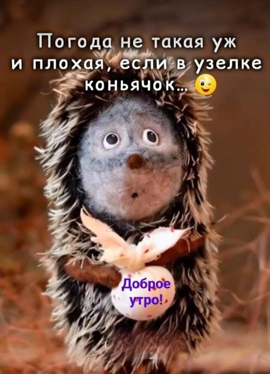 Погода не такая уж и плохая, если в узелке коньячок... 😉 Доброе утро!