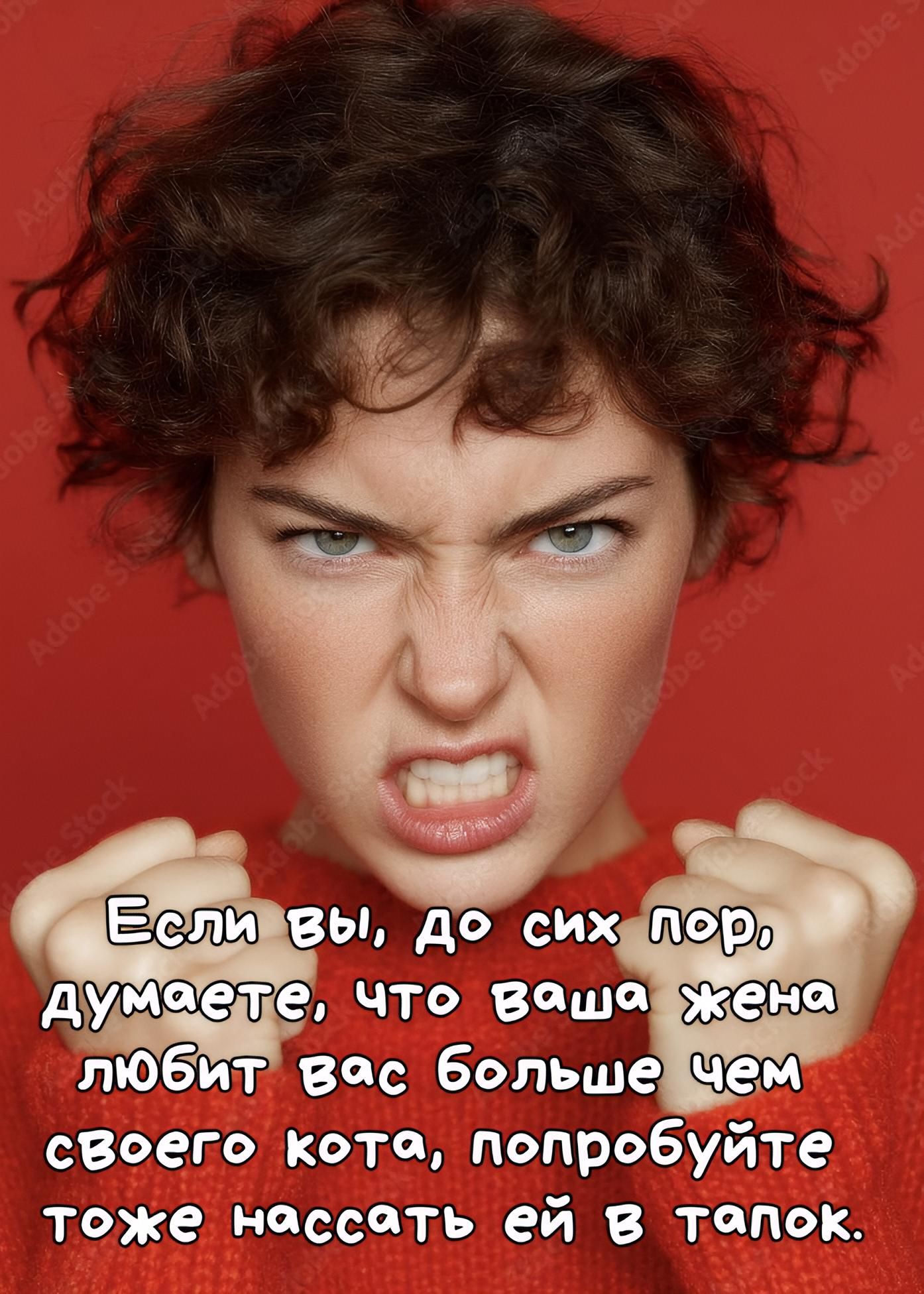 Если вы, до сих пор, думаете, что ваша жена любит вас больше чем своего кота, попробуйте тоже нассать ей в тапок.