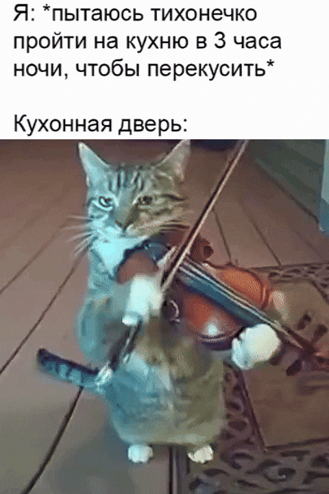 Я: *пытаюсь тихонечко пройти на кухню в 3 часа ночи, чтобы перекусить* Кухонная дверь: