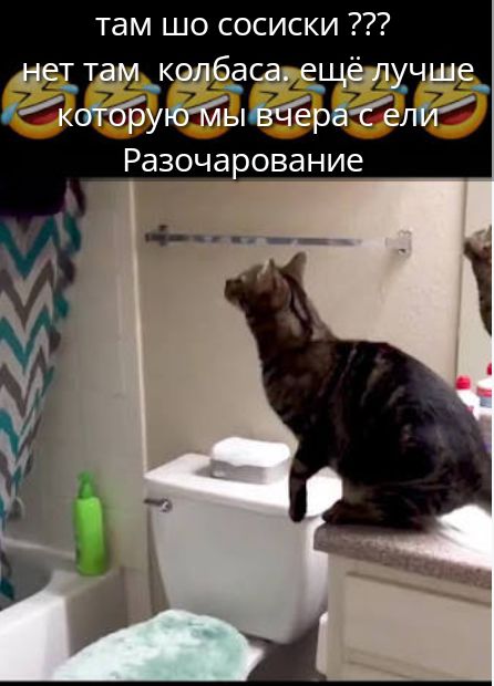 там шо сосиски ??? нет там колбаса. ещё лучше которую мы вчера с ели Разочарование