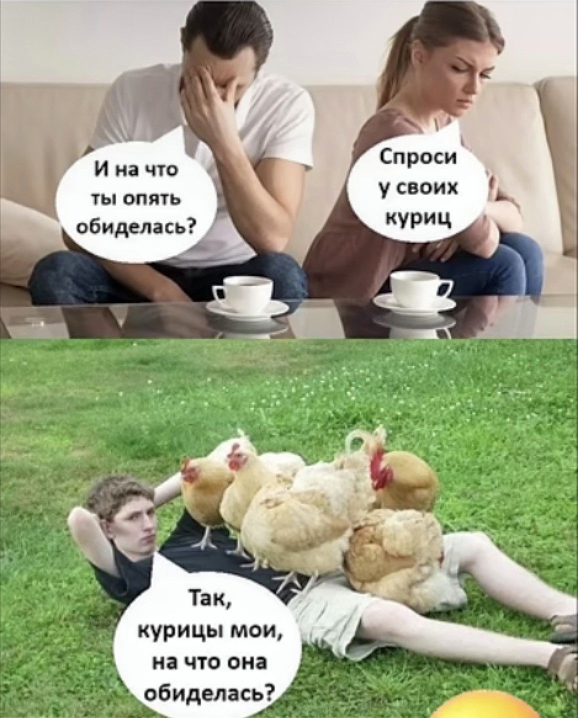 И на что ты опять обиделась? Спроси у своих куриц. Так, курицы мои, на что она обиделась?