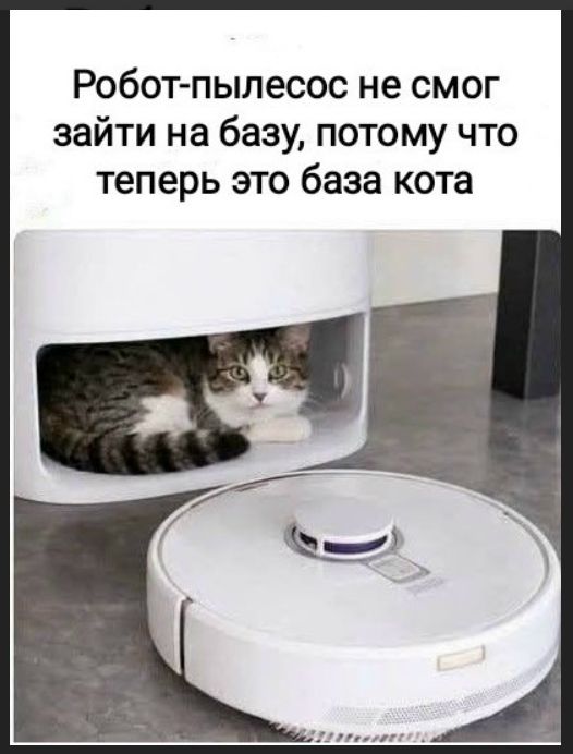 Робот-пылесос не смог зайти на базу, потому что теперь это база кота