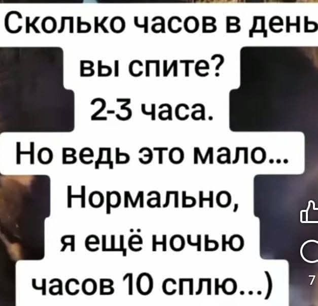 Сколько часов в день вы спите? 2-3 часа. Но ведь это мало... Нормально, я ещё ночью часов 10 сплю...)