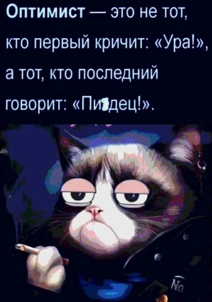 Оптимист — это не тот, кто первый кричит: «Уура!», а тот, кто последний говорит: «Пи***ец!».