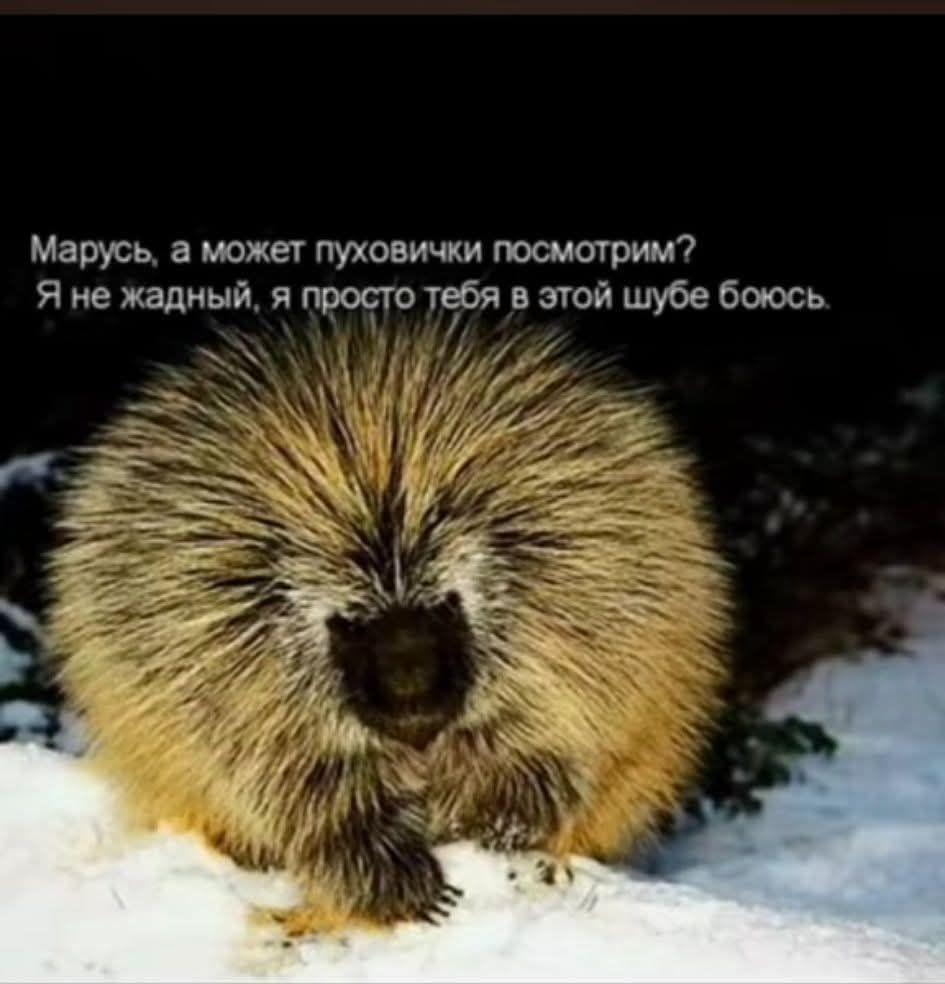 Марусь, а может пуховички посмотрим? Я не жадный, я просто тебя в этой шубе боюсь.